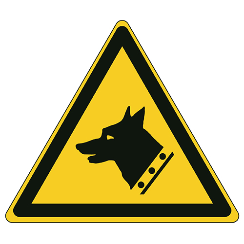 Etykieta ostrzegawcza W013 / ISO 7010 - piktogramy BHP